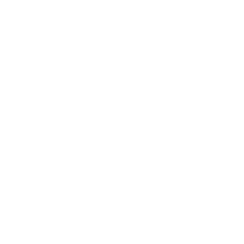 VISUAL VOICE